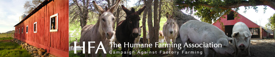 The Humane Farming Association