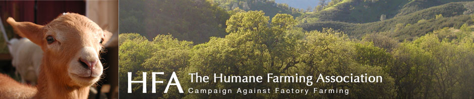 The Humane Farming Association